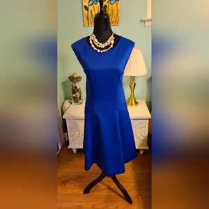 Sleeveless Royal Blue Sandra Darren Dress